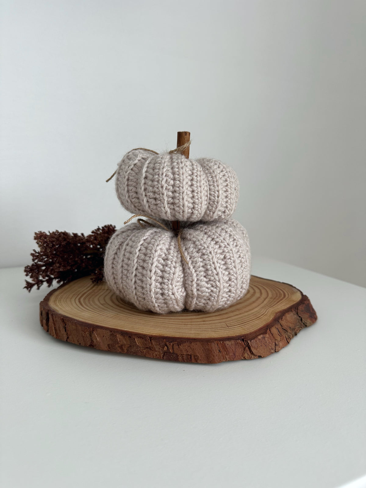 Zucca cozy cotone