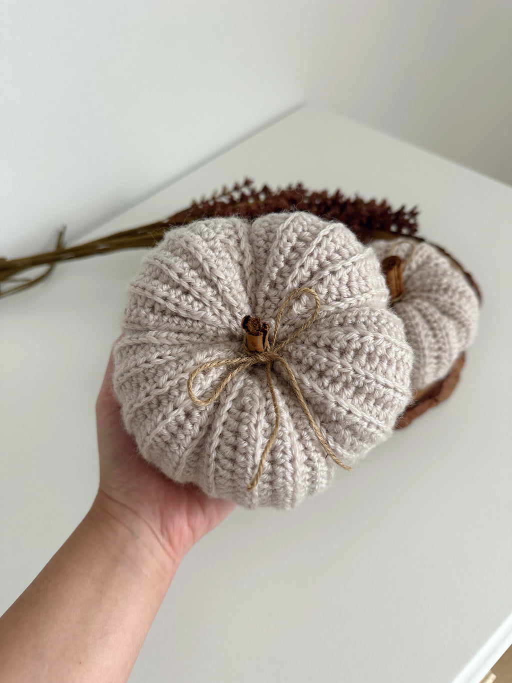 Zucca cozy cotone