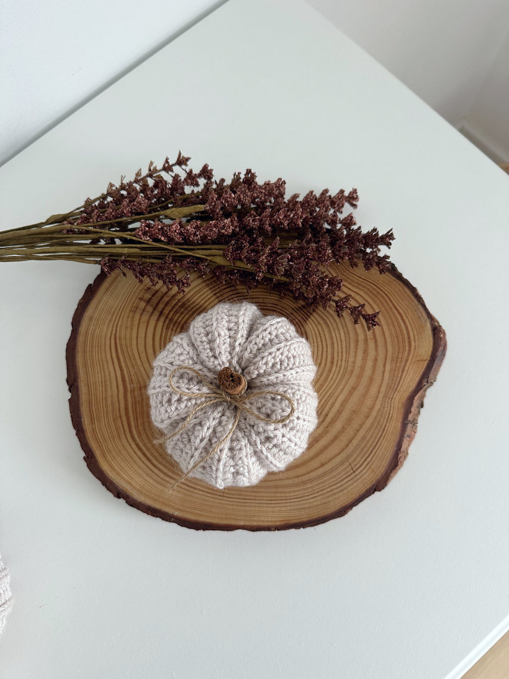 Zucca cozy cotone