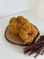 Zucca cozy caramello