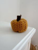 Zucca cozy caramello