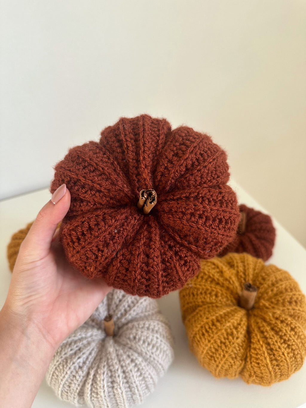 Zucca cozy nocciola