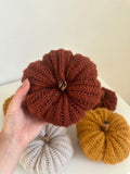 Zucca cozy nocciola