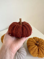 Zucca cozy nocciola
